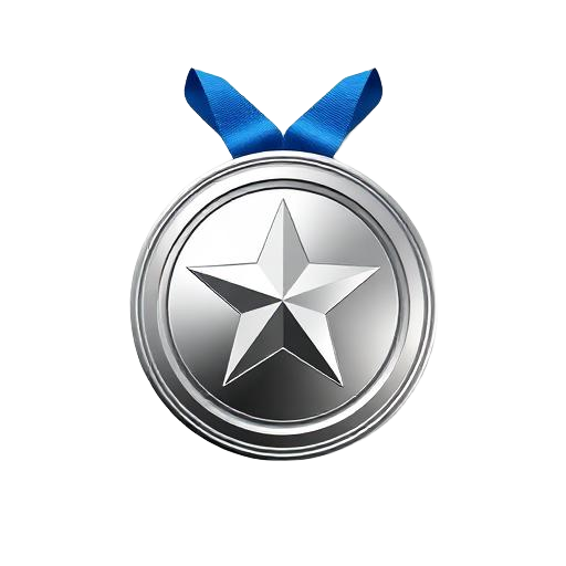 🥈 2º Lugar
